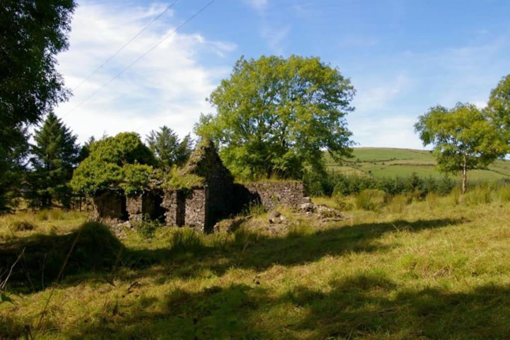 Maggie'S Cottage Thurles Extérieur photo